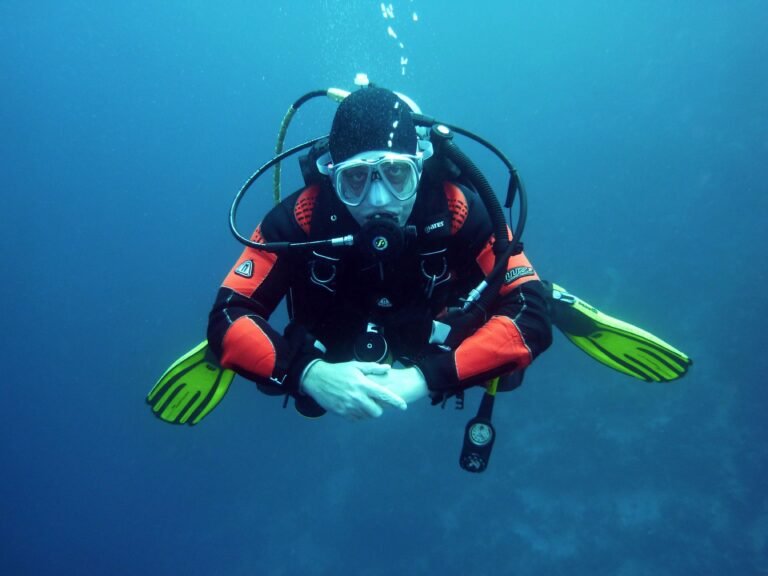 Buceo y Snorkel en San Carlos: Guía de los Mejores Spots del Mar de Cortés